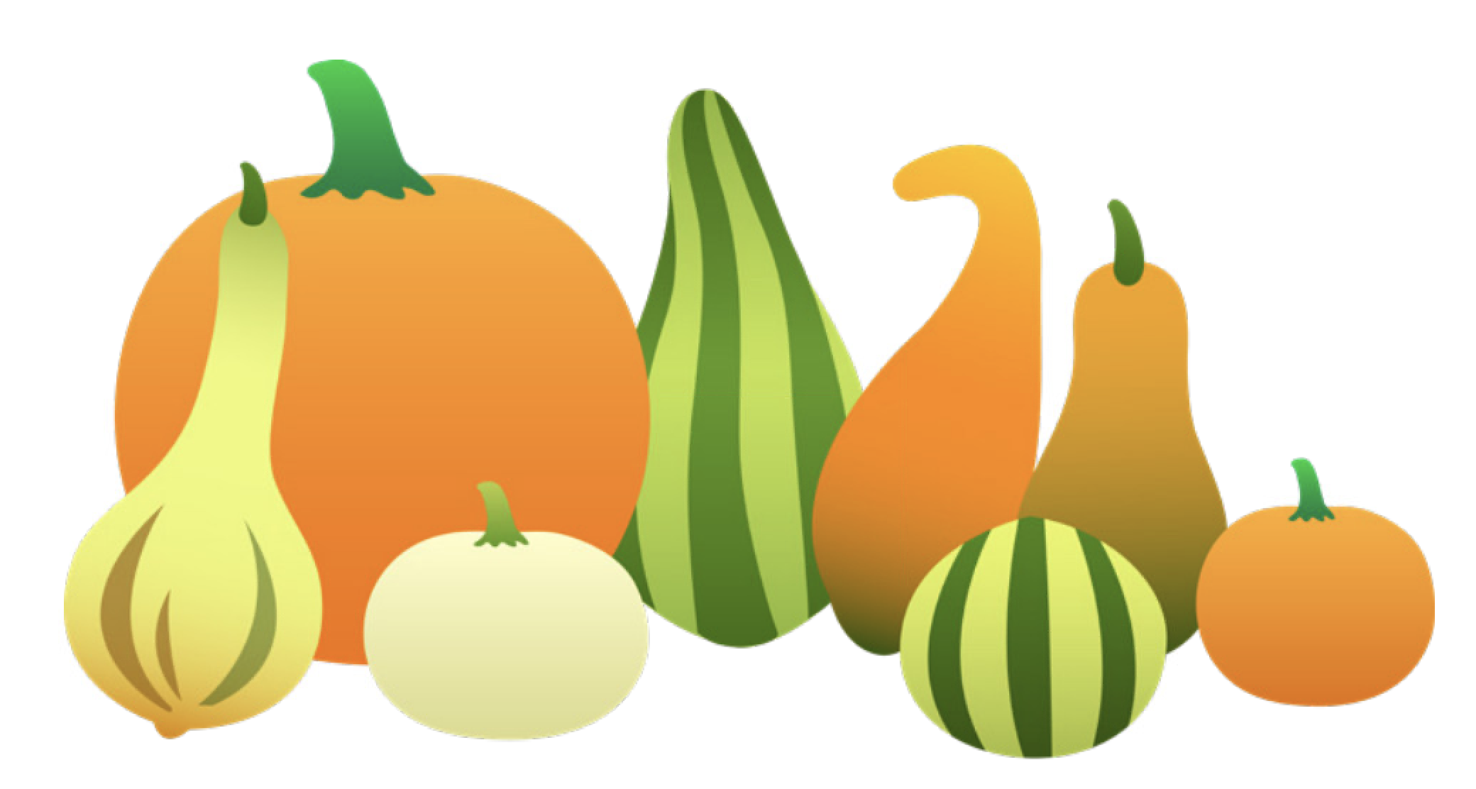 illustration of pumpkins and gourds